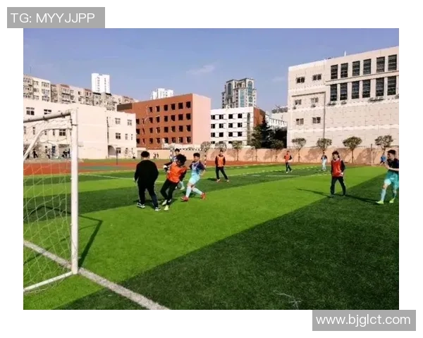 足球嵌套的魅力与挑战探索球场内外的多重竞技体验与文化交融